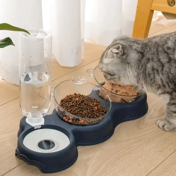 Cat Food Bowl