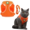 Cat Harness