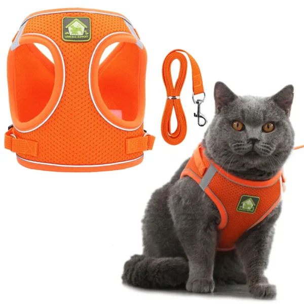 Cat Harness