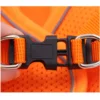 Cat Harness - Image 6