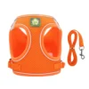 Cat Harness - Image 4