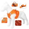 Cat Harness - Image 2